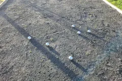 20260302_Boule-Gruppe